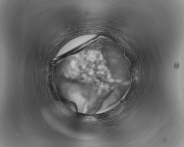 X0000090630519200708141437