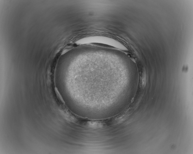 X0000090630520200708141437