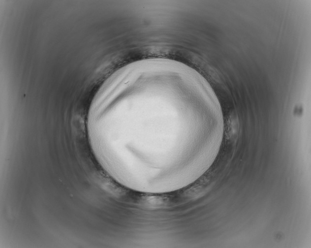X0000090630522200708141437