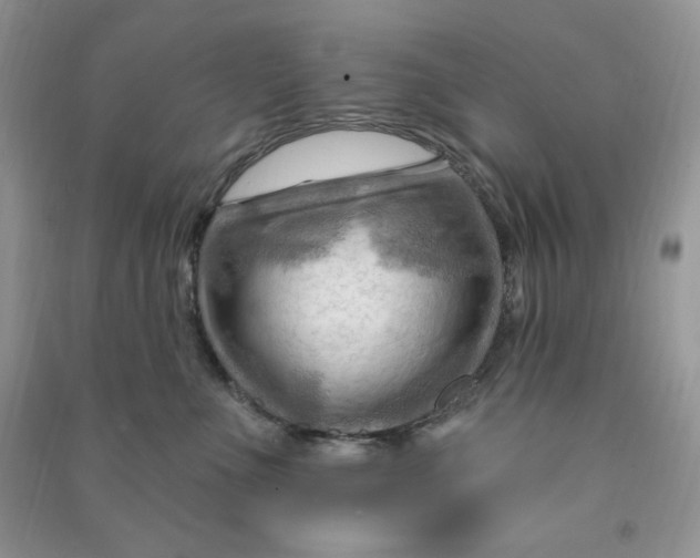 X0000090630523200708141437