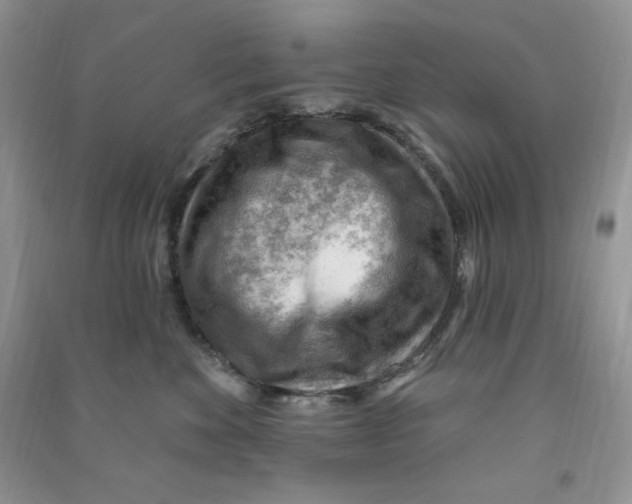 X0000090630524200708141437