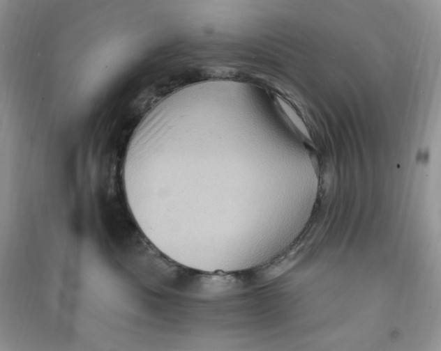 X0000090630525200708141437