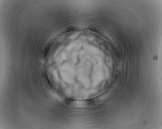 X0000090630526200708141437