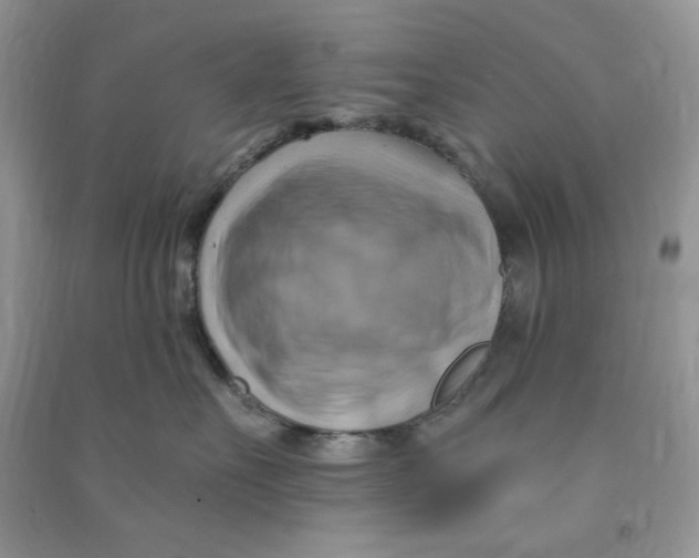 X0000090630527200708141437