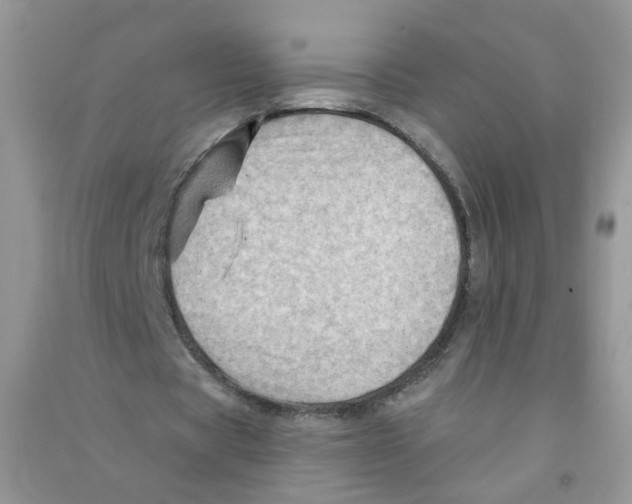 X0000090630529200708141436
