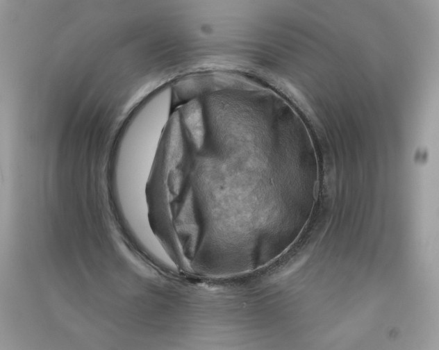 X0000090630530200708141436