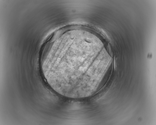 X0000090630531200708141436