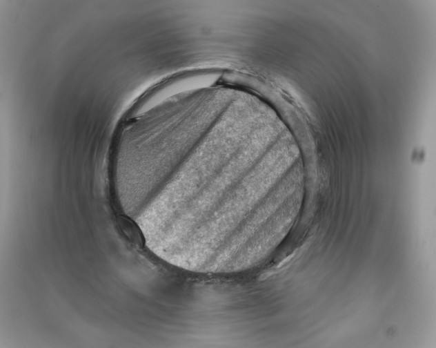 X0000090630532200708141436
