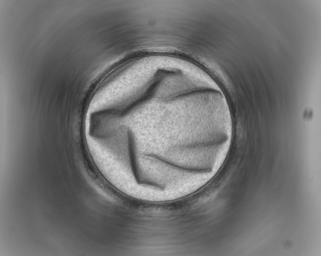 X0000090630533200708141436