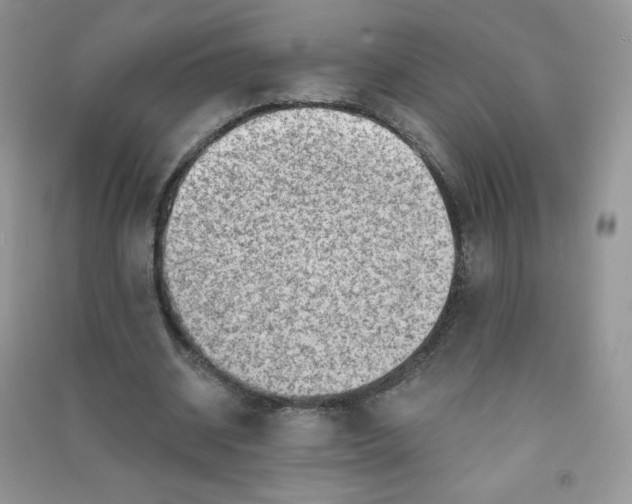 X0000090630534200708141436