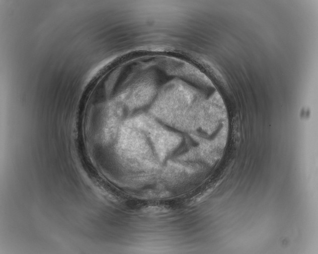 X0000090630536200708141436