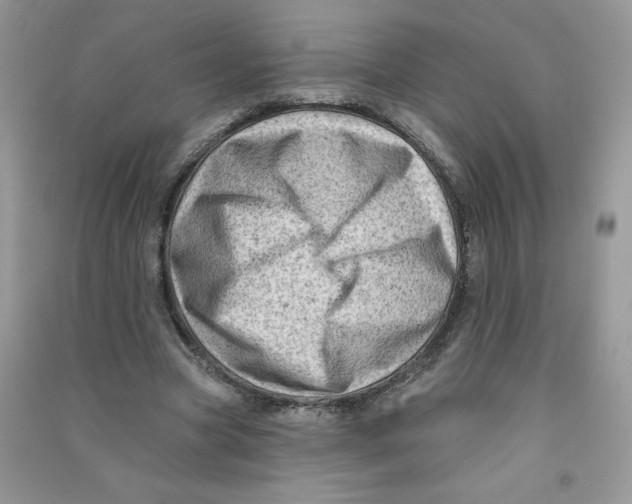 X0000090630537200708141436
