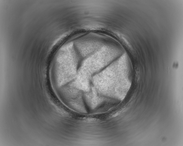 X0000090630539200708141436