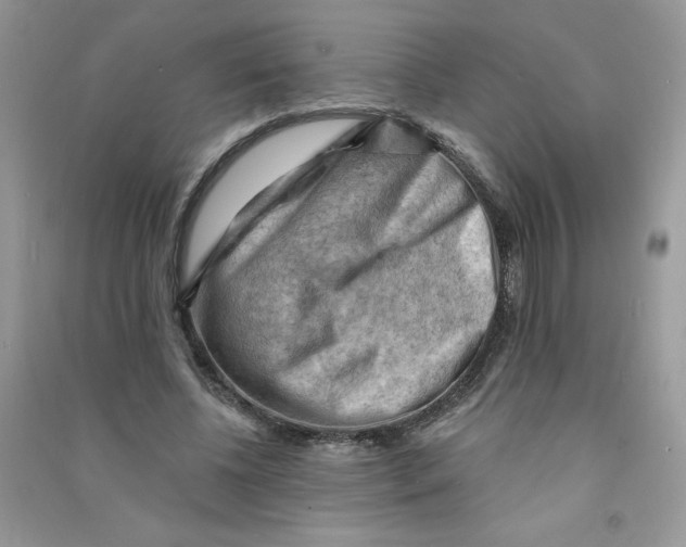 X0000090630540200708141436
