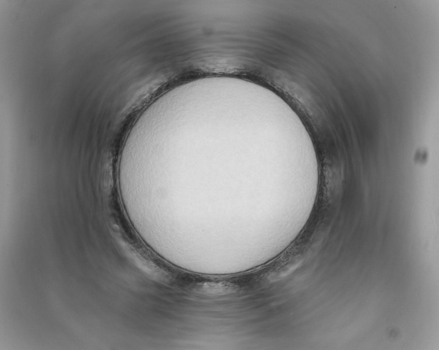 X0000090630541200708141436