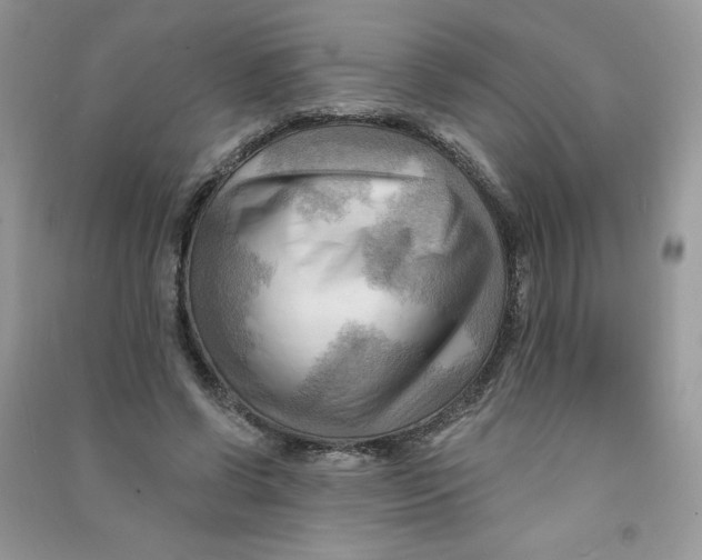 X0000090630542200708141436