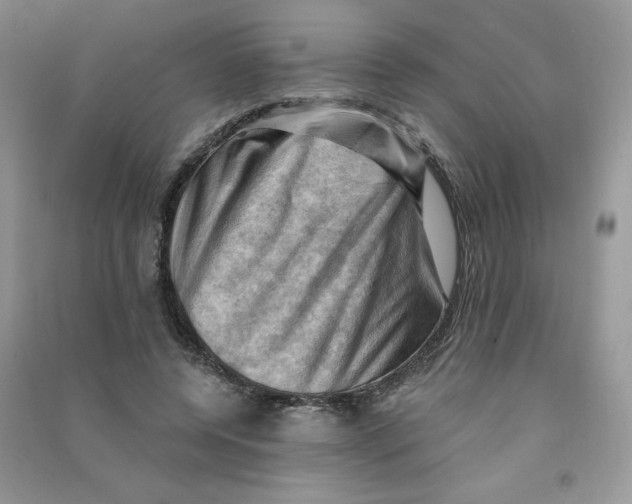 X0000090630544200708141436