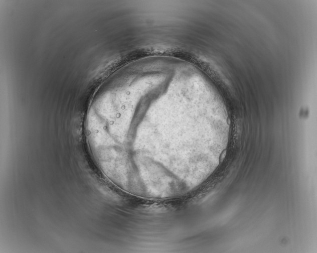 X0000090630545200708141436