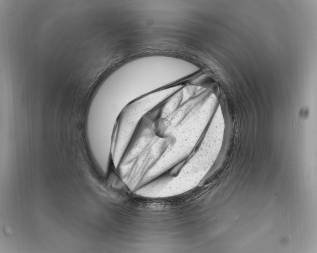 X0000090630546200708141436