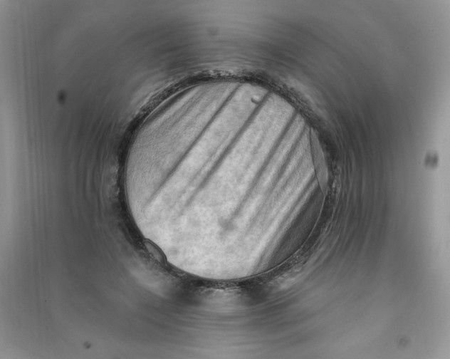 X0000090630548200708141436