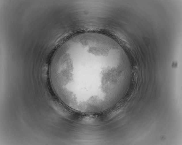 X0000090630550200708141436