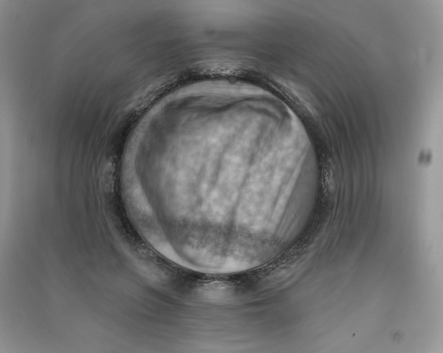 X0000090630551200708141436