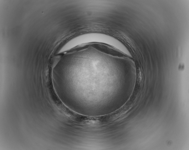 X0000090630552200708141436