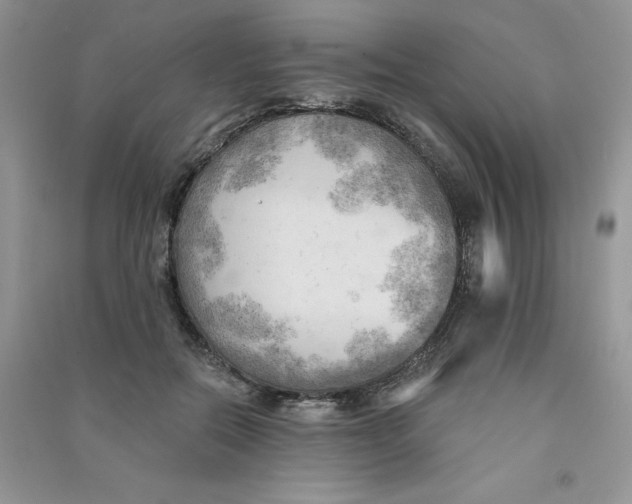 X0000090630554200708141436