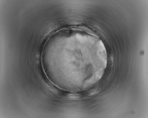 X0000090630556200708141436