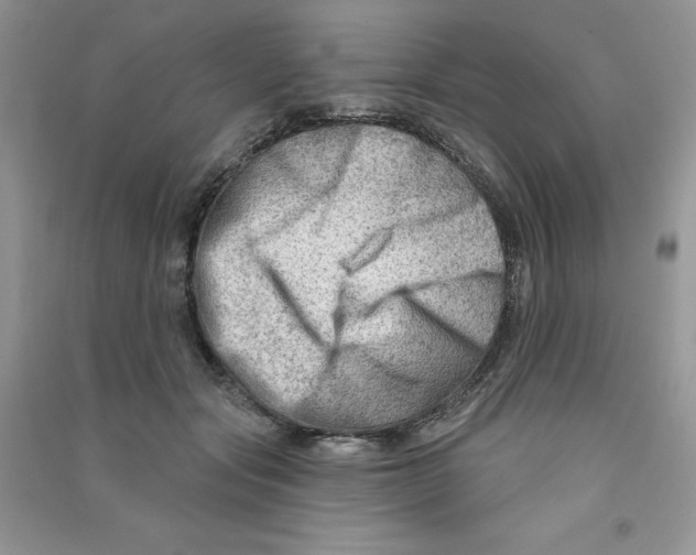 X0000090630557200708141436