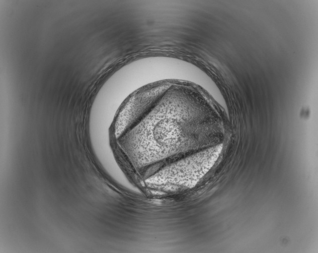 X0000090630558200708141436
