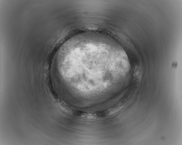 X0000090630559200708141436