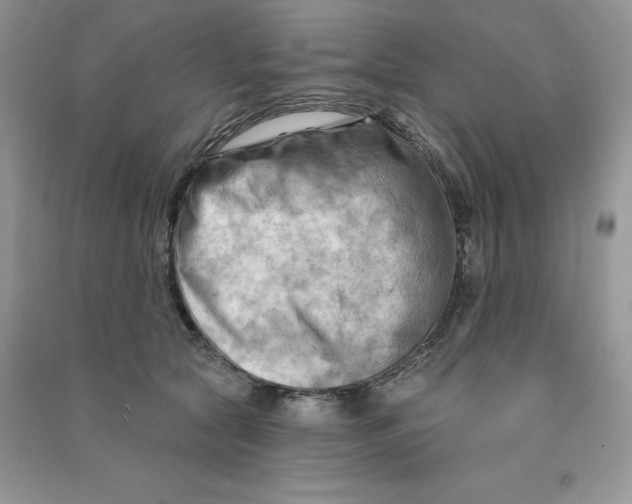 X0000090630561200708141436