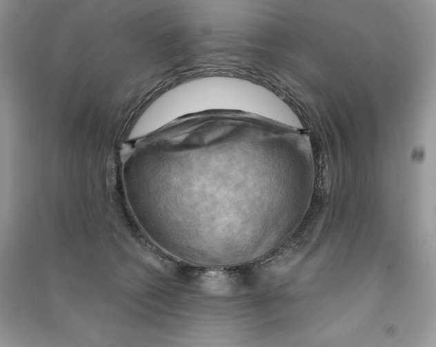 X0000090630562200708141436