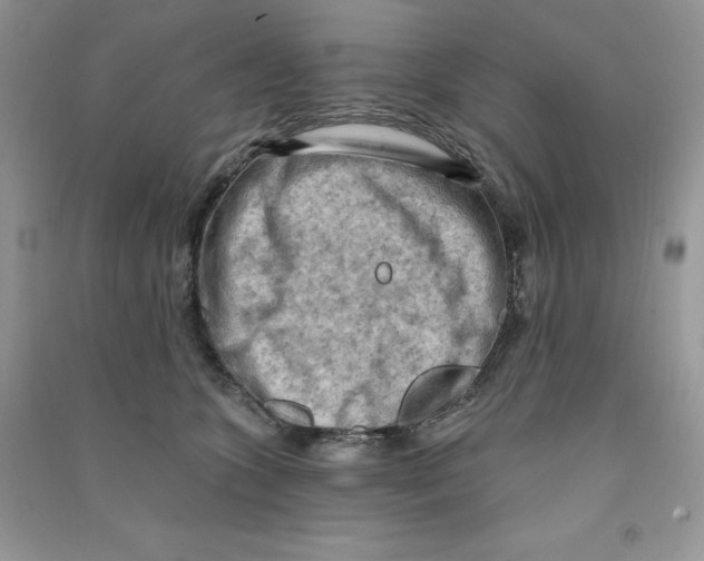 X0000090630563200708141436