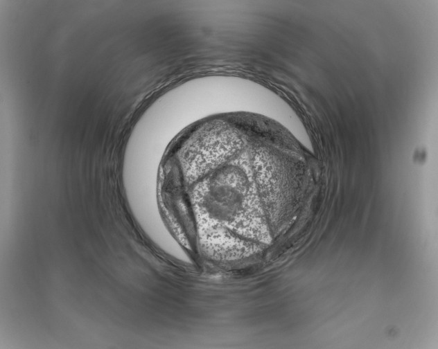 X0000090630564200708141436