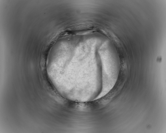 X0000090630565200708141436