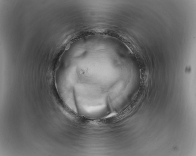 X0000090630568200708141436