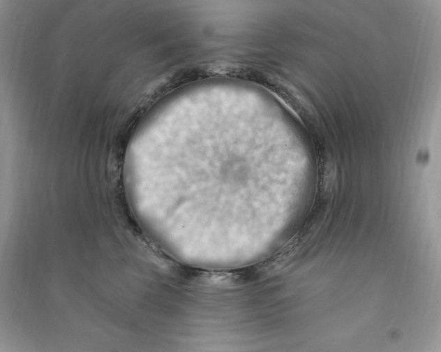 X0000090630569200708141436