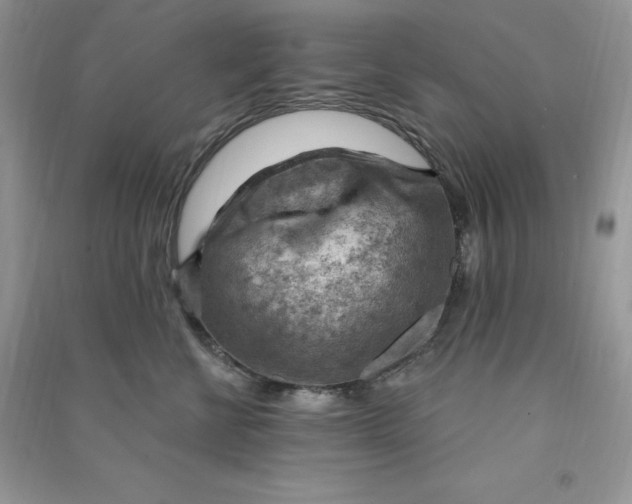 X0000090630570200708141436