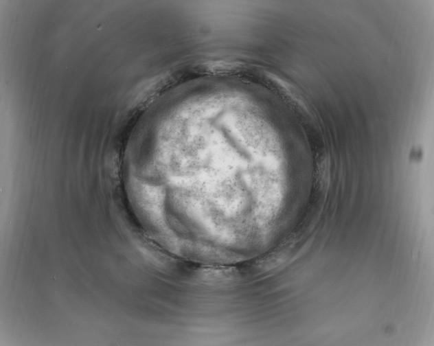 X0000090630571200708141436