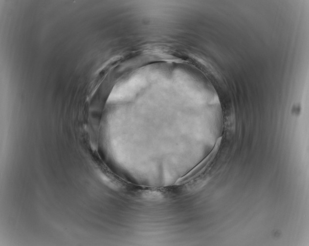 X0000090630572200708141436