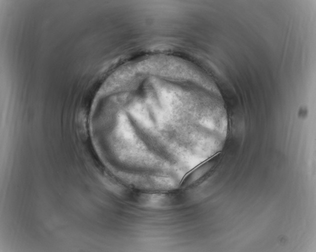 X0000090630575200708141436