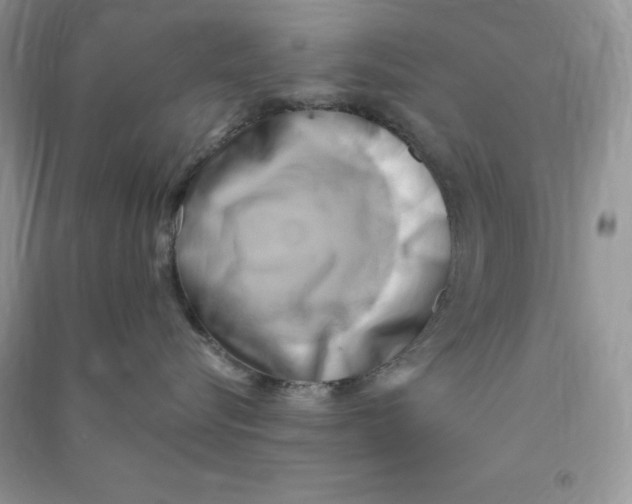 X0000090630576200708141437