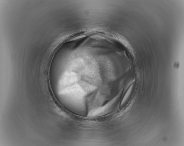 X0000090630577200708141436