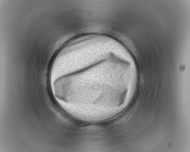 X0000090630578200708141436