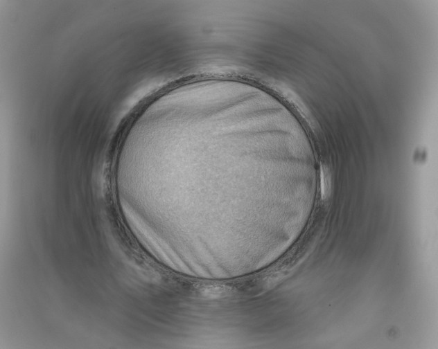 X0000090630579200708141436