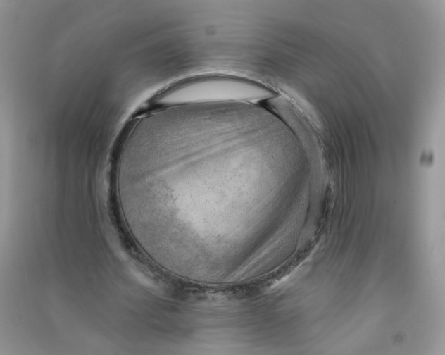 X0000090630580200708141436