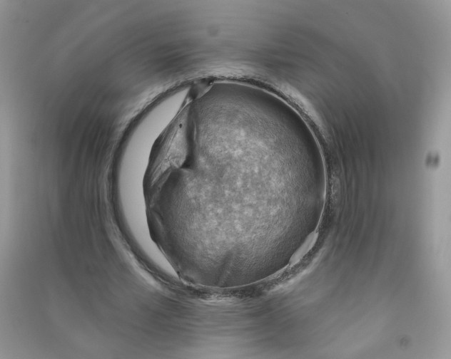 X0000090630581200708141436