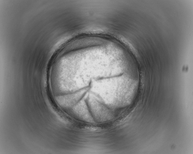 X0000090630582200708141436